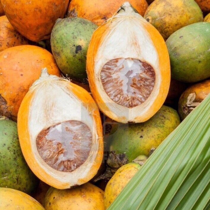Arecanut