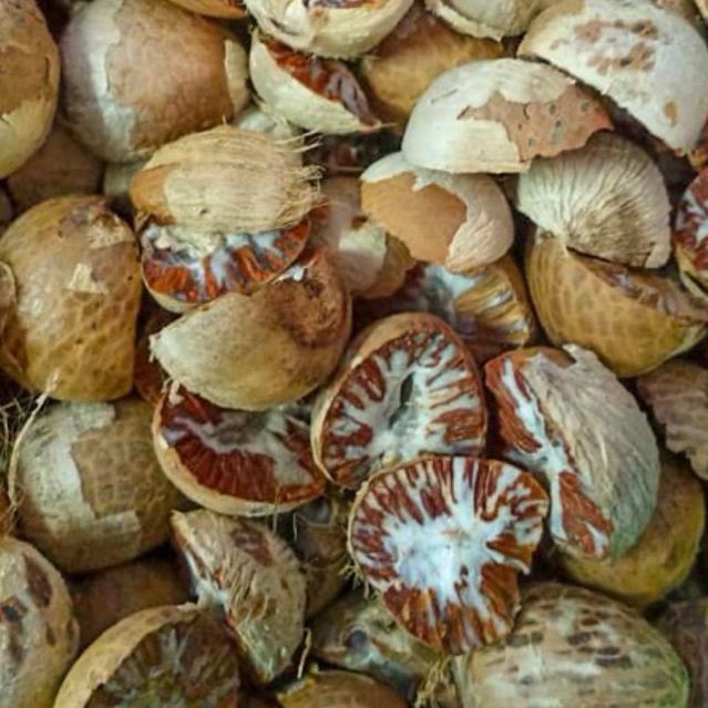 Arecanut